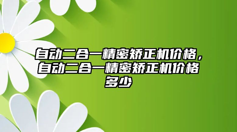 自動二合一精密矯正機價格，自動二合一精密矯正機價格多少