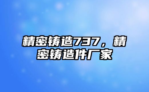 精密鑄造737，精密鑄造件廠家