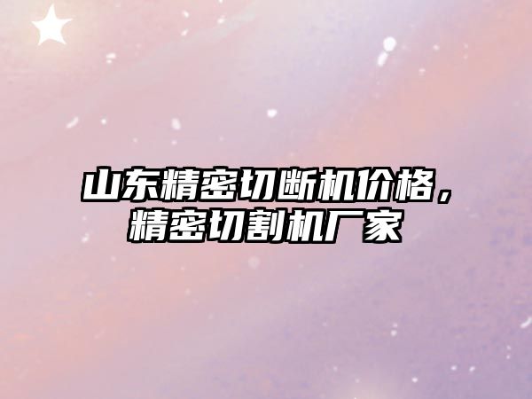 山東精密切斷機價格，精密切割機廠家