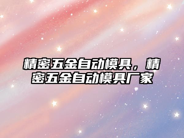 精密五金自動模具，精密五金自動模具廠家