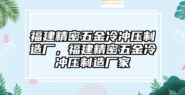 福建精密五金冷沖壓制造廠，福建精密五金冷沖壓制造廠家