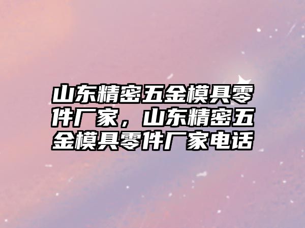 山東精密五金模具零件廠家，山東精密五金模具零件廠家電話