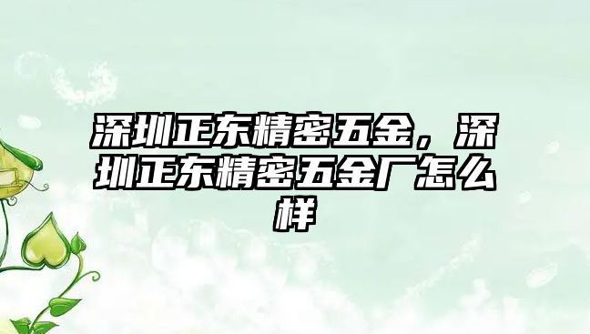 深圳正東精密五金，深圳正東精密五金廠怎么樣