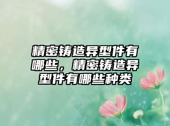 精密鑄造異型件有哪些，精密鑄造異型件有哪些種類