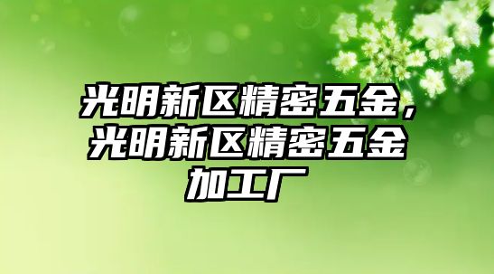 光明新區(qū)精密五金，光明新區(qū)精密五金加工廠