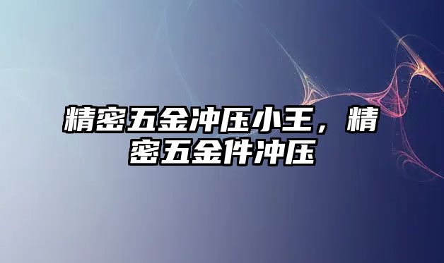 精密五金沖壓小王，精密五金件沖壓