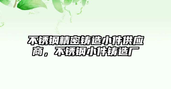 不銹鋼精密鑄造小件供應(yīng)商，不銹鋼小件鑄造廠