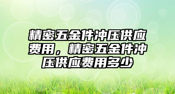 精密五金件沖壓供應費用，精密五金件沖壓供應費用多少