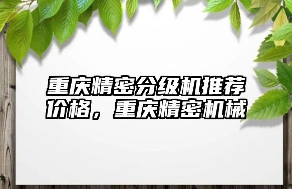 重慶精密分級(jí)機(jī)推薦價(jià)格，重慶精密機(jī)械