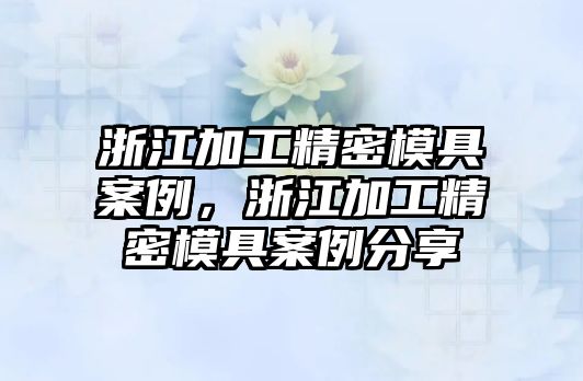 浙江加工精密模具案例，浙江加工精密模具案例分享