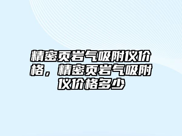 精密頁巖氣吸附儀價格，精密頁巖氣吸附儀價格多少