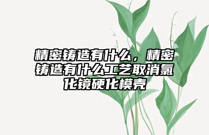 精密鑄造有什么，精密鑄造有什么工藝取消氯化鏡硬化模殼