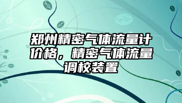 鄭州精密氣體流量計價格，精密氣體流量調(diào)校裝置