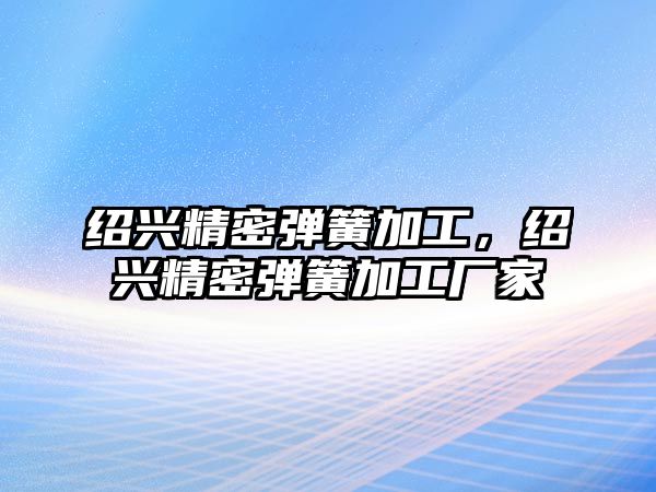 紹興精密彈簧加工，紹興精密彈簧加工廠家