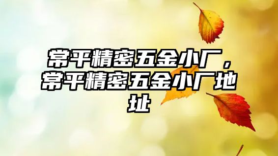 常平精密五金小廠，常平精密五金小廠地址