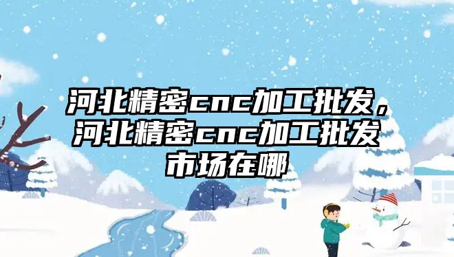 河北精密cnc加工批發(fā)，河北精密cnc加工批發(fā)市場在哪