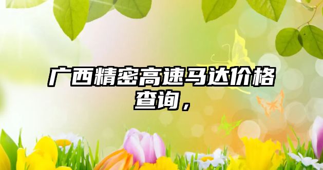 廣西精密高速馬達(dá)價格查詢，