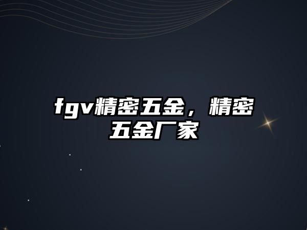 fgv精密五金，精密五金廠家