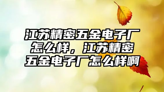 江蘇精密五金電子廠怎么樣，江蘇精密五金電子廠怎么樣啊