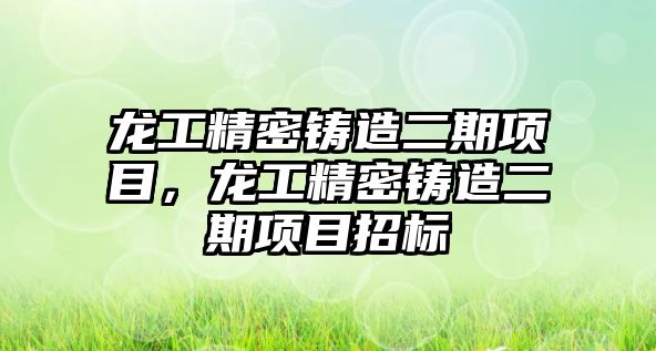 龍工精密鑄造二期項目，龍工精密鑄造二期項目招標(biāo)