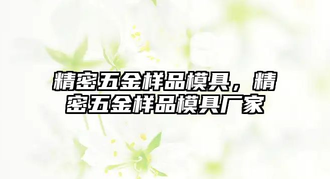 精密五金樣品模具，精密五金樣品模具廠家