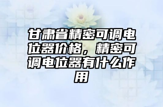 甘肅省精密可調(diào)電位器價格，精密可調(diào)電位器有什么作用