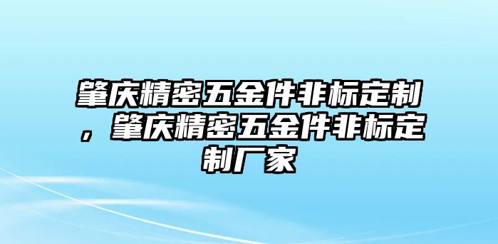 肇慶精密五金件非標定制，肇慶精密五金件非標定制廠家