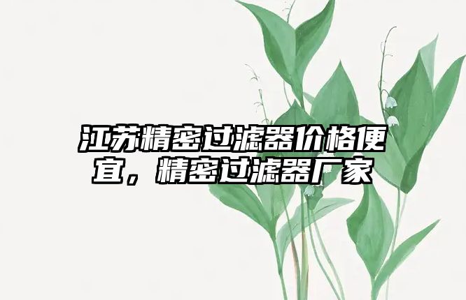 江蘇精密過(guò)濾器價(jià)格便宜，精密過(guò)濾器廠家