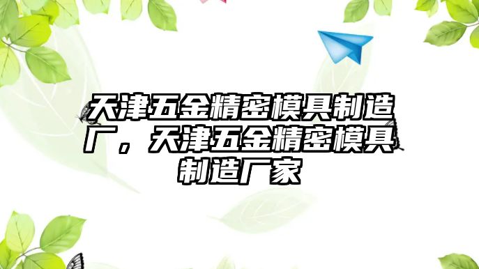 天津五金精密模具制造廠，天津五金精密模具制造廠家