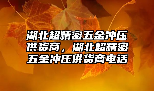 湖北超精密五金沖壓供貨商，湖北超精密五金沖壓供貨商電話