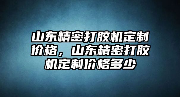 山東精密打膠機(jī)定制價(jià)格，山東精密打膠機(jī)定制價(jià)格多少