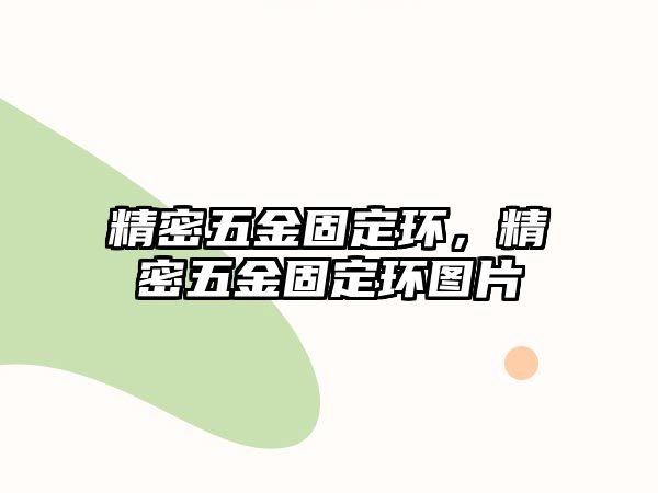 精密五金固定環(huán)，精密五金固定環(huán)圖片