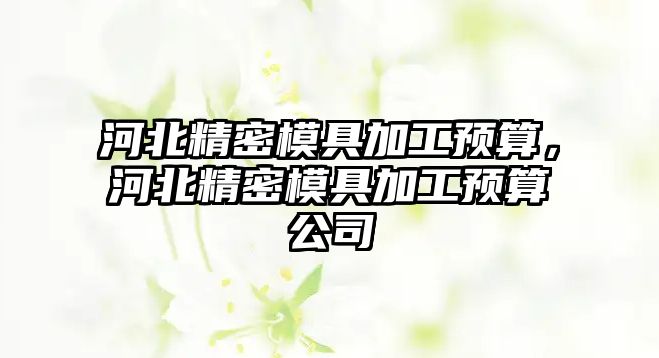 河北精密模具加工預(yù)算，河北精密模具加工預(yù)算公司