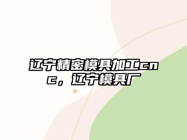 遼寧精密模具加工cnc，遼寧模具廠