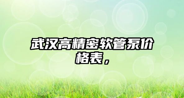 武漢高精密軟管泵價(jià)格表，