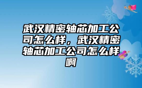 武漢精密軸芯加工公司怎么樣，武漢精密軸芯加工公司怎么樣啊