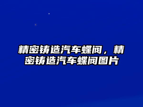 精密鑄造汽車蝶閥，精密鑄造汽車蝶閥圖片