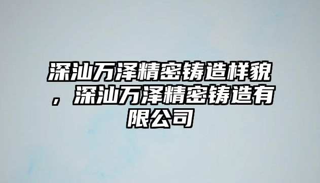 深汕萬澤精密鑄造樣貌，深汕萬澤精密鑄造有限公司