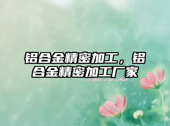 鋁合金精密加工，鋁合金精密加工廠(chǎng)家