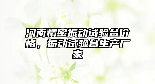 河南精密振動試驗臺價格，振動試驗臺生產(chǎn)廠家