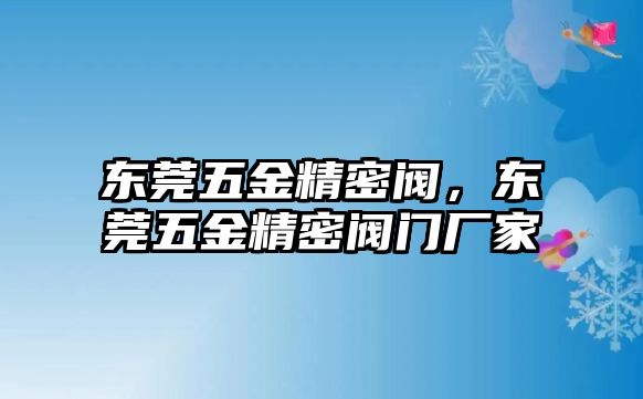 東莞五金精密閥，東莞五金精密閥門廠家