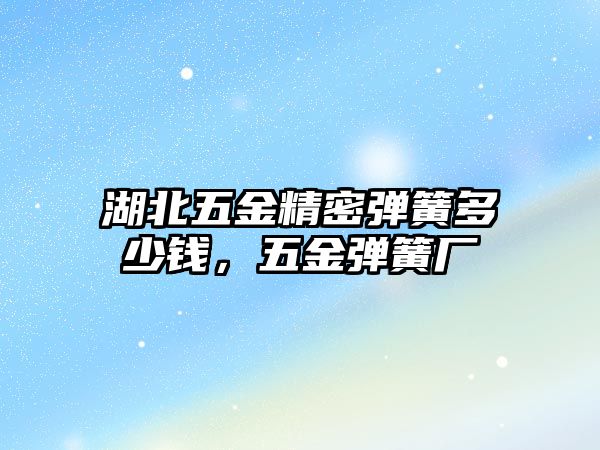 湖北五金精密彈簧多少錢，五金彈簧廠