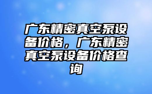 廣東精密真空泵設(shè)備價格，廣東精密真空泵設(shè)備價格查詢