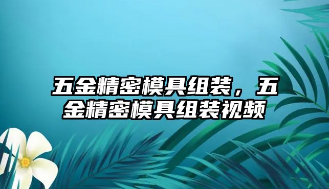 五金精密模具組裝，五金精密模具組裝視頻