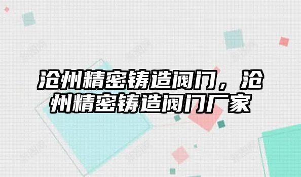 滄州精密鑄造閥門，滄州精密鑄造閥門廠家