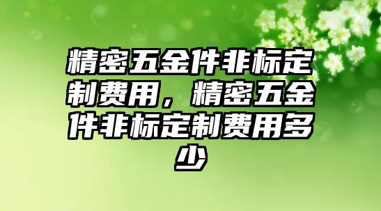 精密五金件非標(biāo)定制費(fèi)用，精密五金件非標(biāo)定制費(fèi)用多少