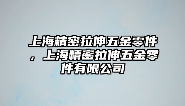 上海精密拉伸五金零件，上海精密拉伸五金零件有限公司