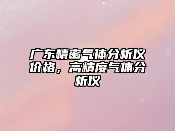 廣東精密氣體分析儀價(jià)格，高精度氣體分析儀