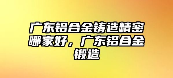 廣東鋁合金鑄造精密哪家好，廣東鋁合金鍛造