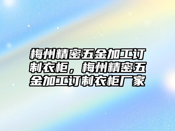 梅州精密五金加工訂制衣柜，梅州精密五金加工訂制衣柜廠家